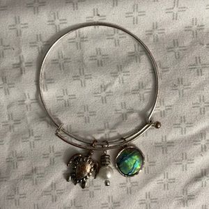 Silver turtle charm bracelet